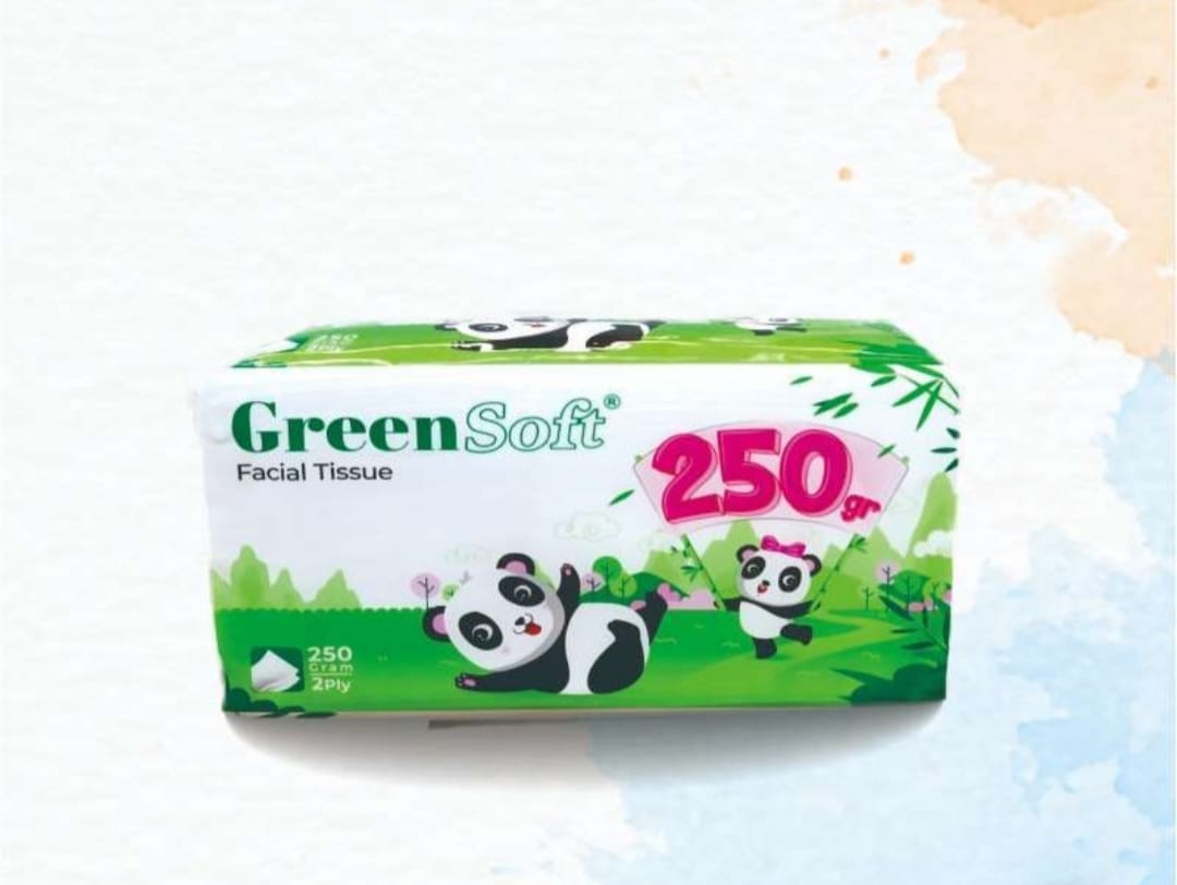 GREENSOFT FACIAL TISSUE 250GR 2PLY