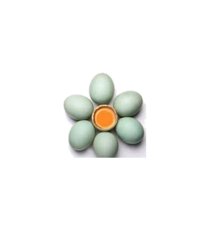 product_img
